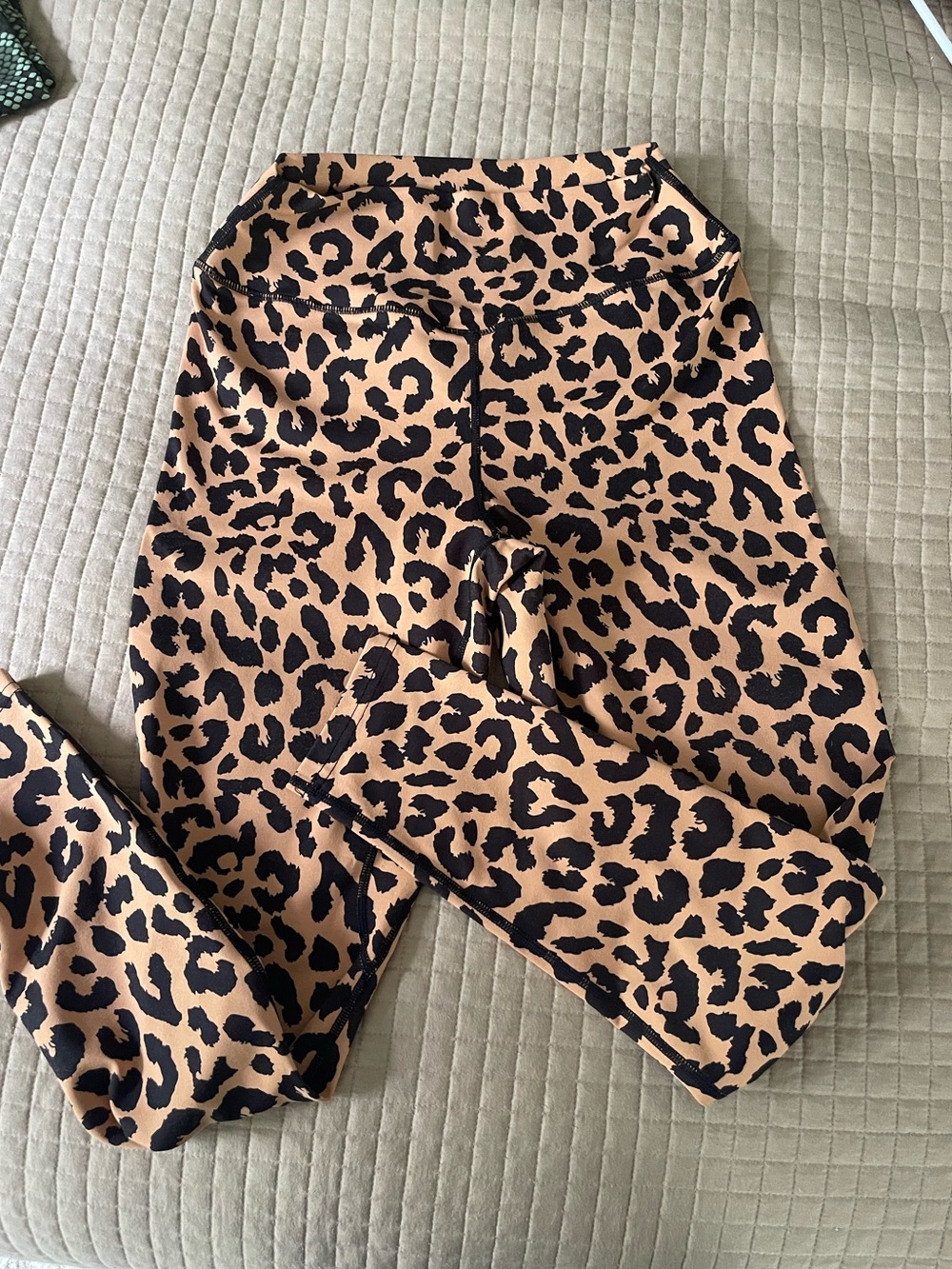 Balance Athletica Animal Kingdom pants and bra set - Picture 2 of 6